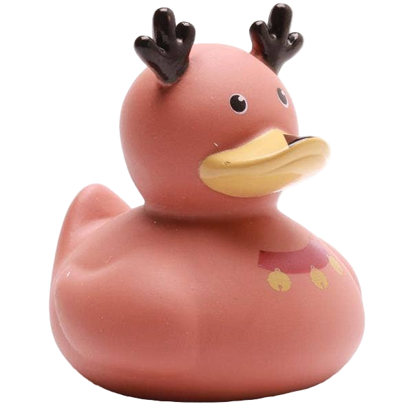 Canard Renne