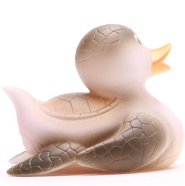 Turtle duck