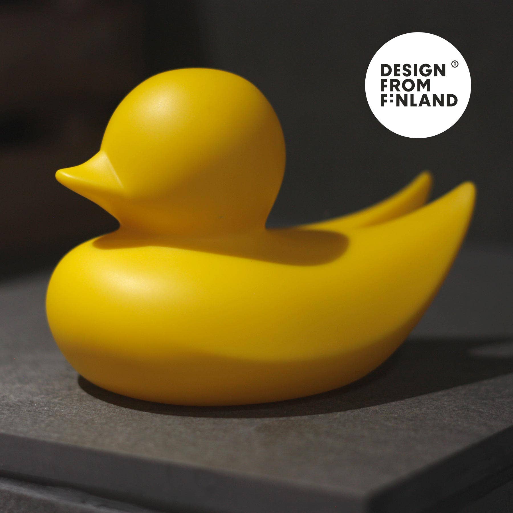Canard Minimaliste