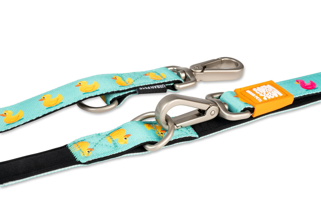 Multifunctional Leash - Ducks