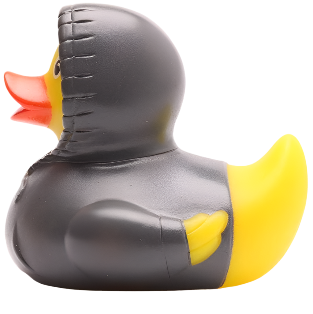 Canard Sweat à Capuche - Gris