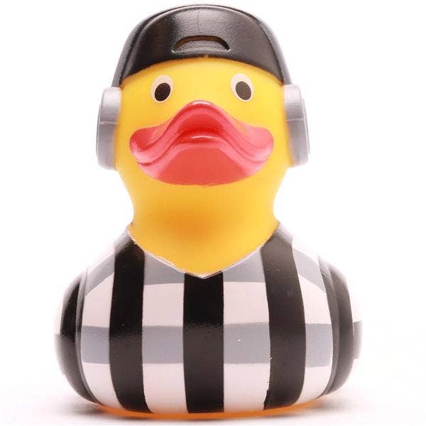 Hip-hop duck