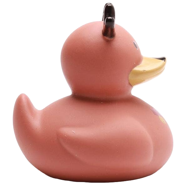 Canard Renne