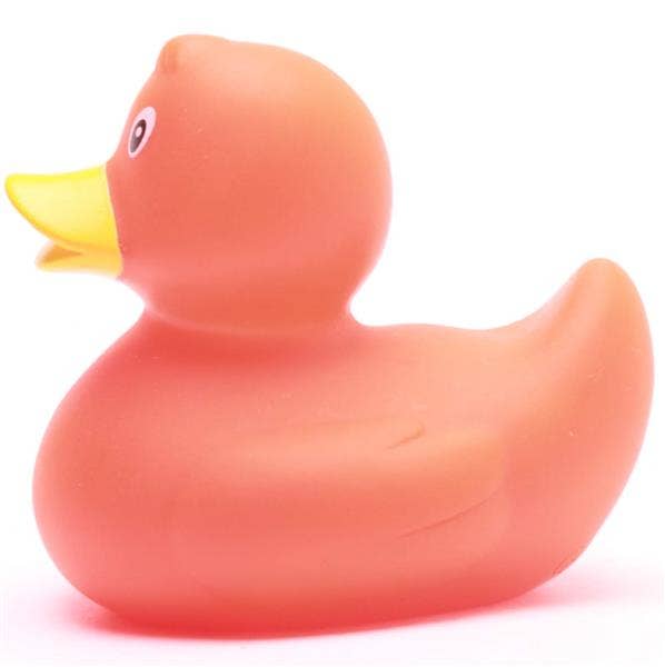 canard classique orange