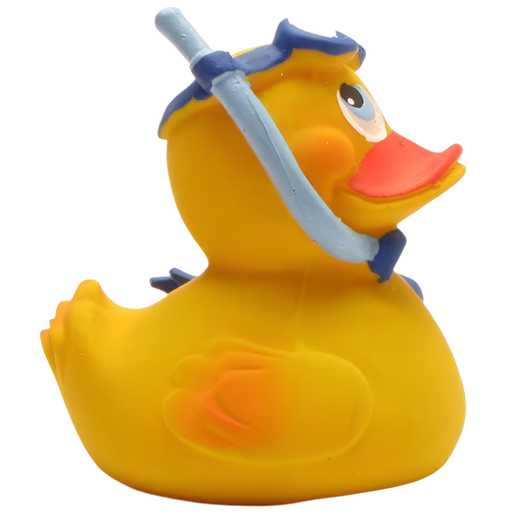 Canard Plongeur avec tuba