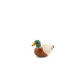 Arrosoir Canard Colvert