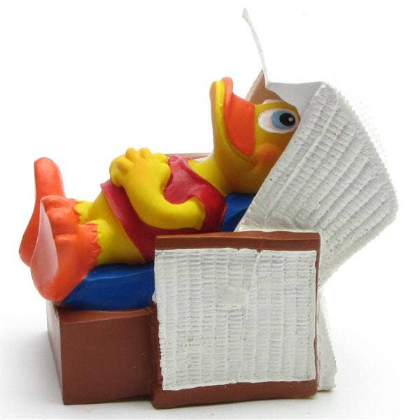 Canard Chaise de plage