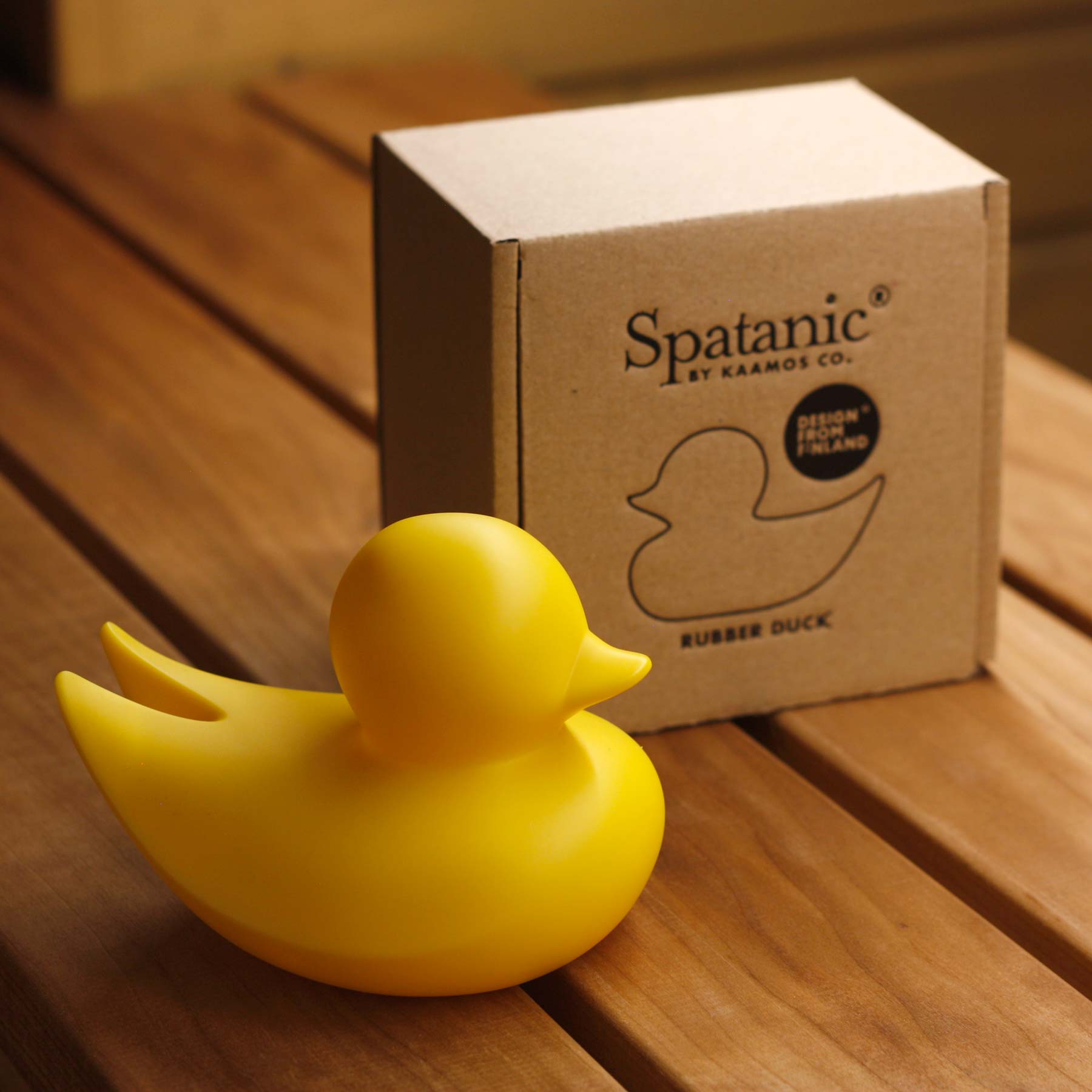 Minimalist Duck