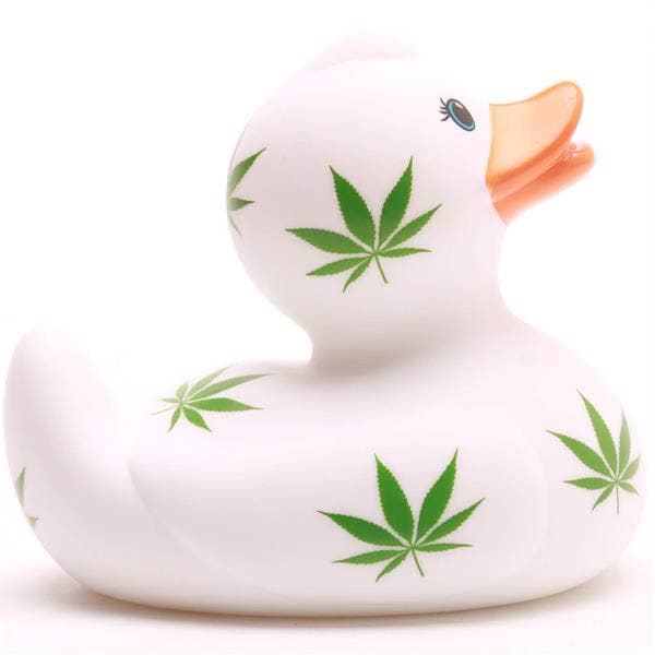 Anatra con foglie di canapa