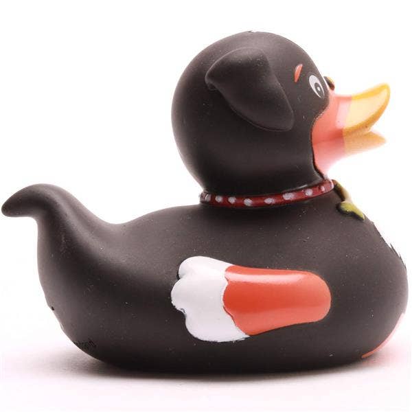 Duck Dog
