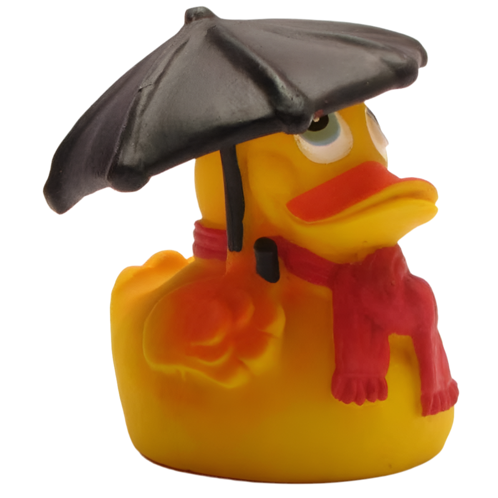 Canard Temps de Pluie