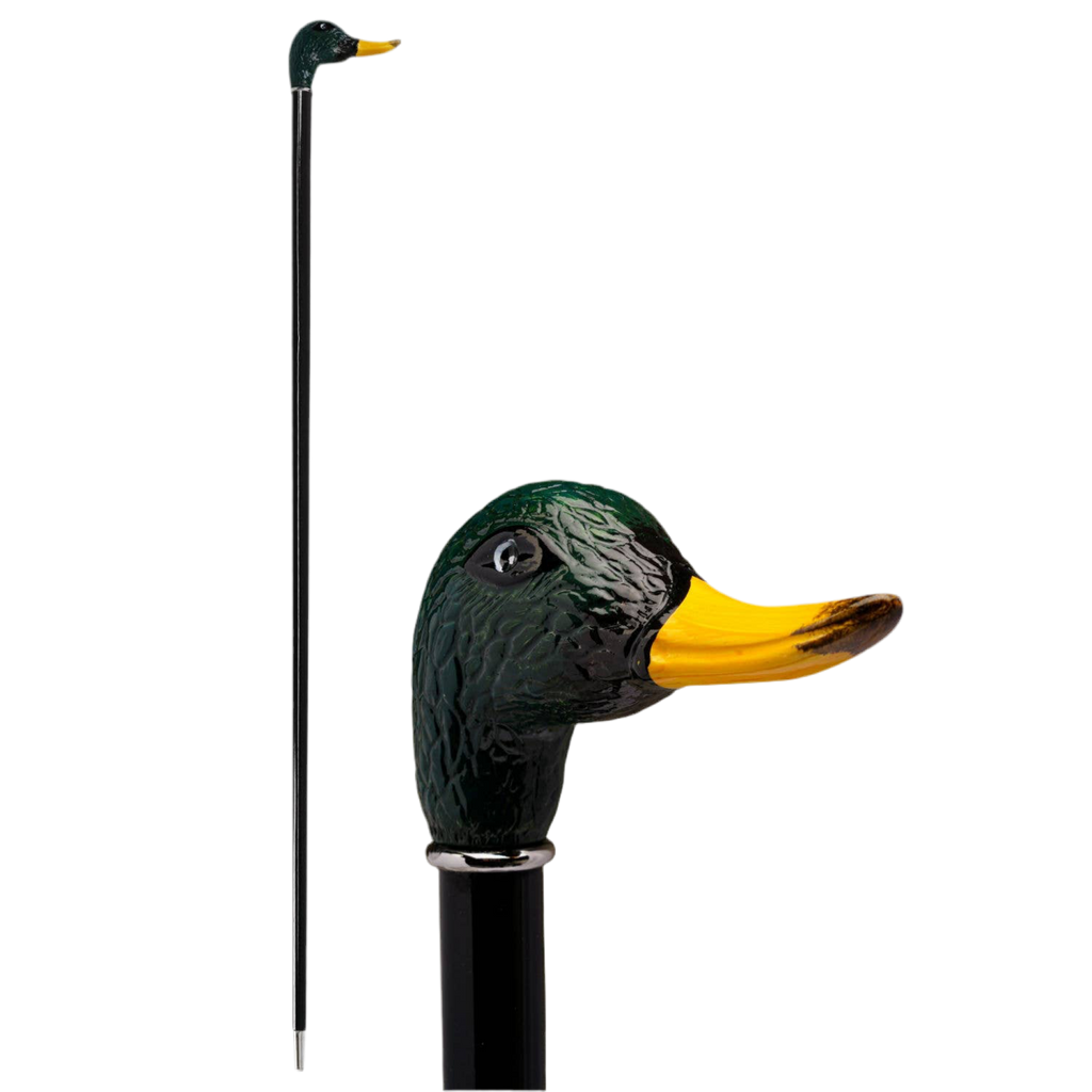 Duck Mallard