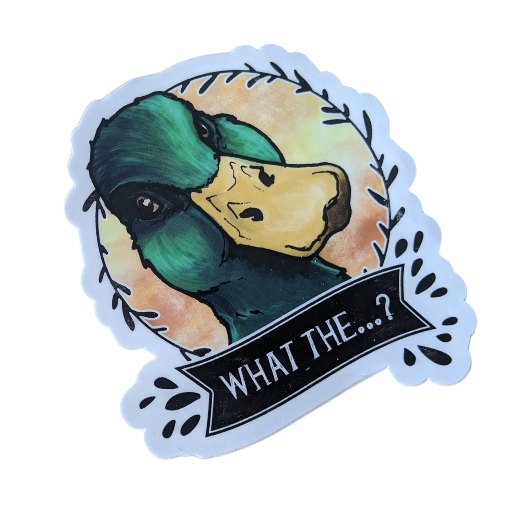 Autocollant Canard Colvert “What the…?”