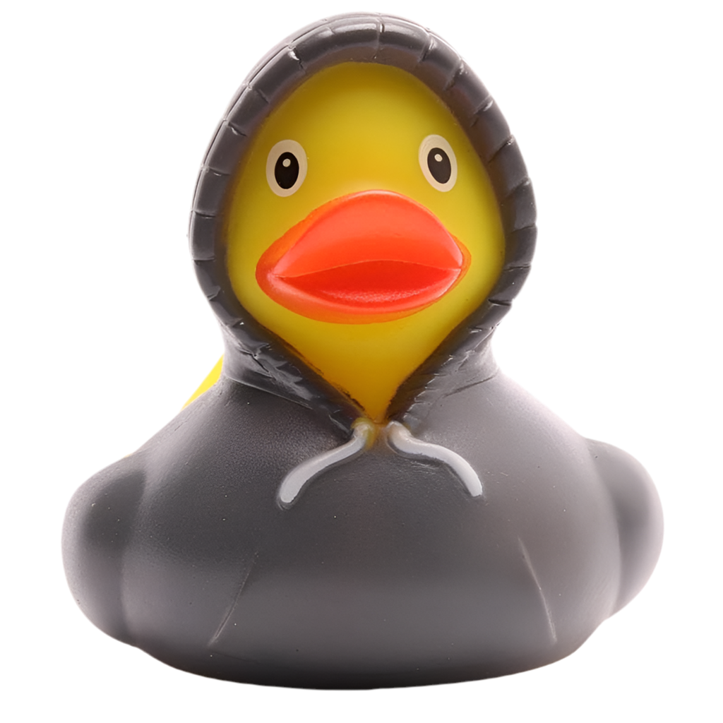 Canard Sweat à Capuche - Gris