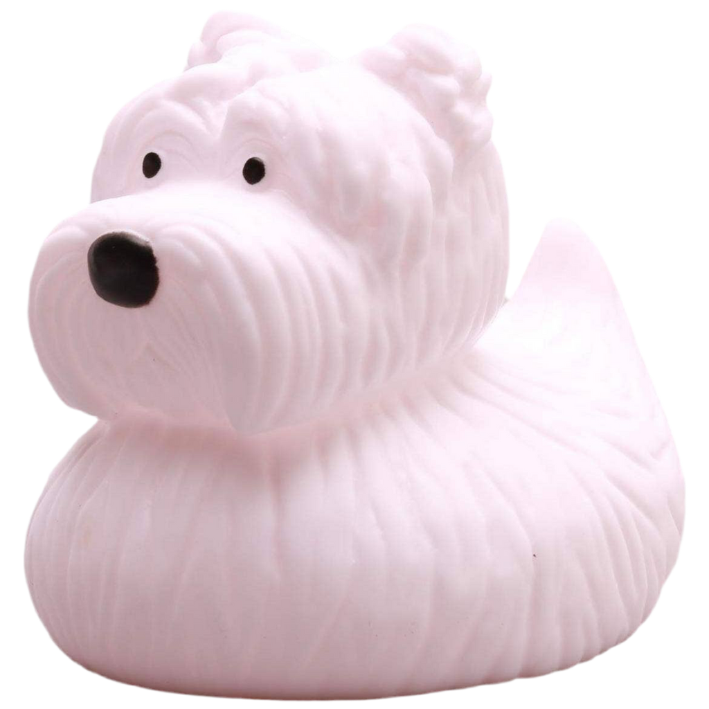 canard terrier ecossais elgate products