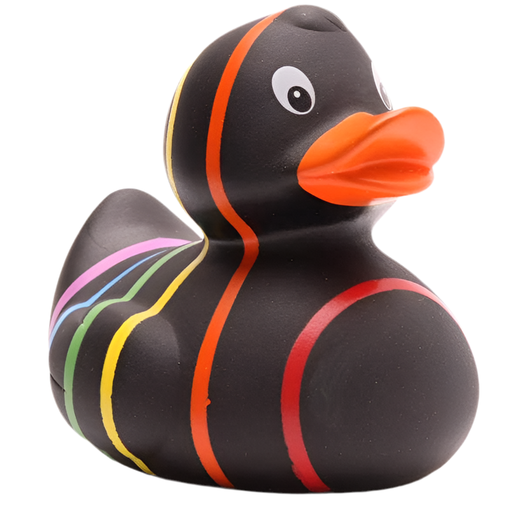 canard classique arc en ciel noir