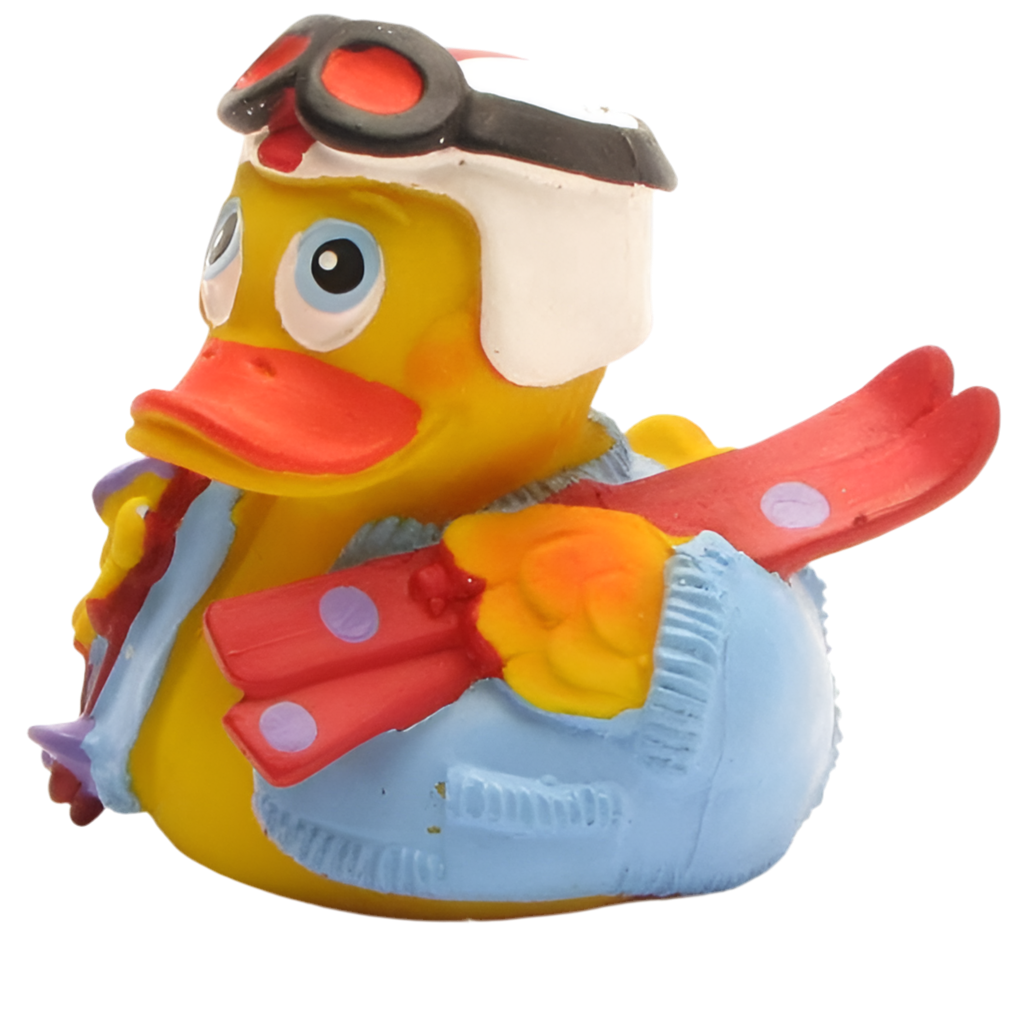 Canard Skieur