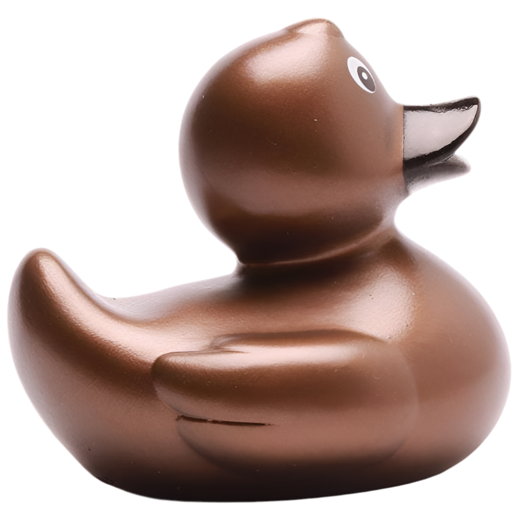 canard classique bronze