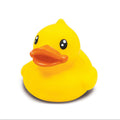Duck B.Duck