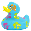Hawaiian Duck