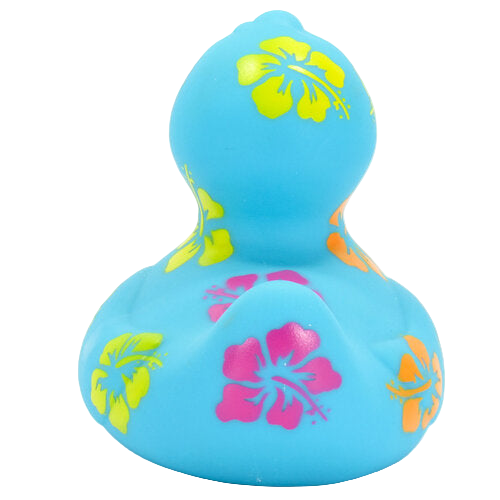 Hawaiian Duck