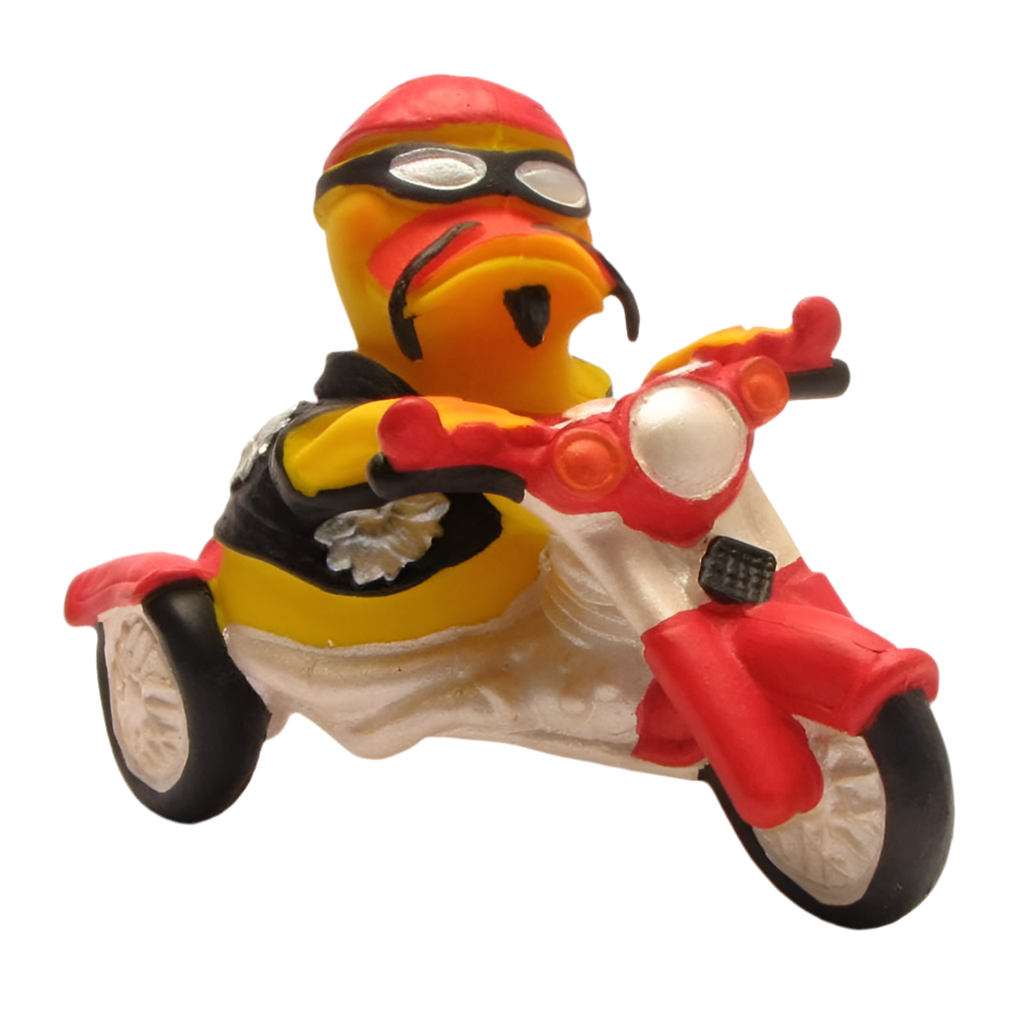 Canard Biker