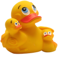 Duck Mom