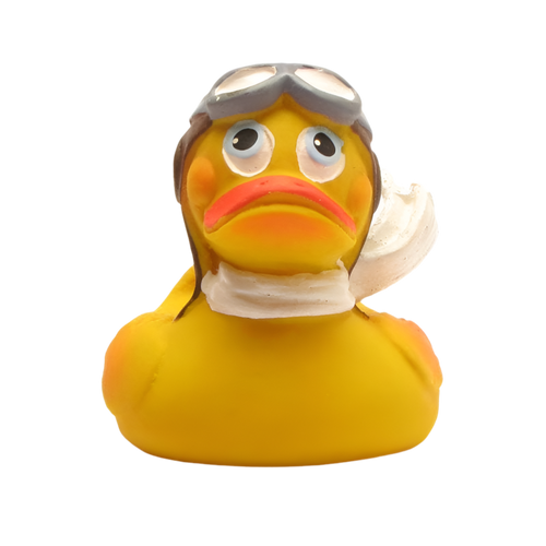Canard Aviateur