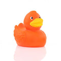 Orange Duck