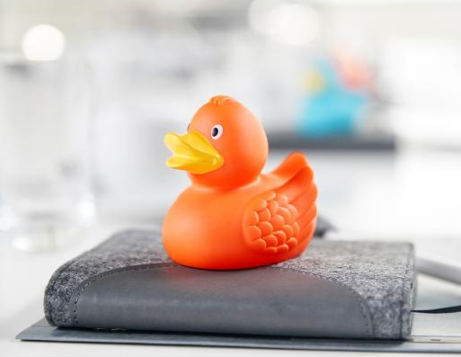 Orange Duck