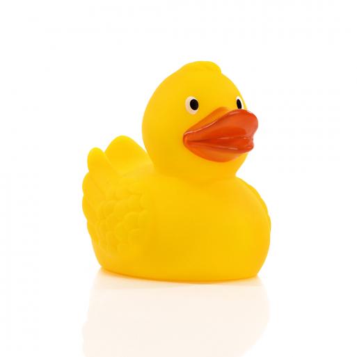 Canard classique avec ailes