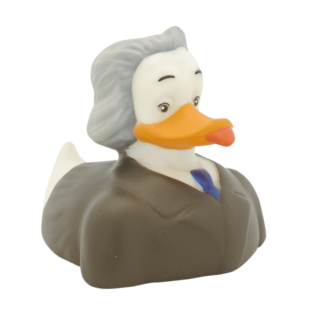 canard-albert-duckstein-interduck