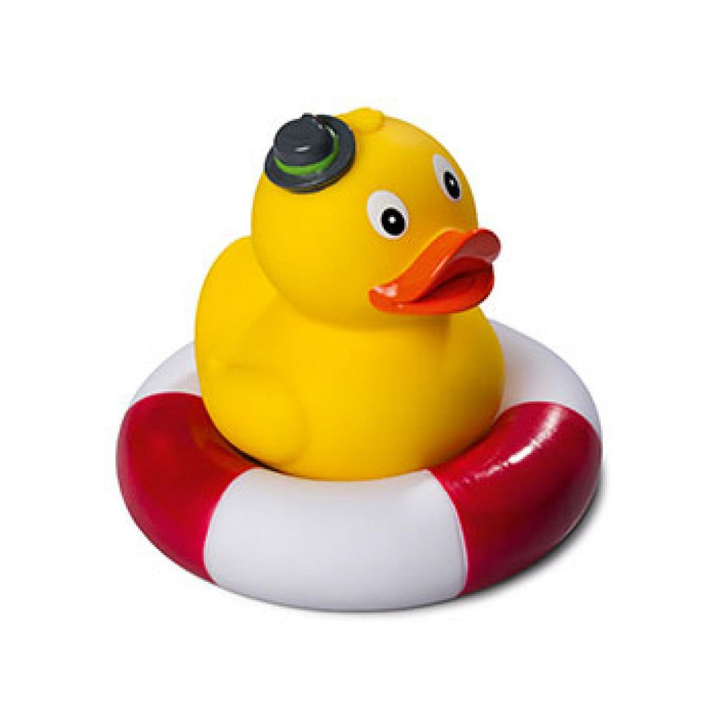 Canard Bavarois Debout