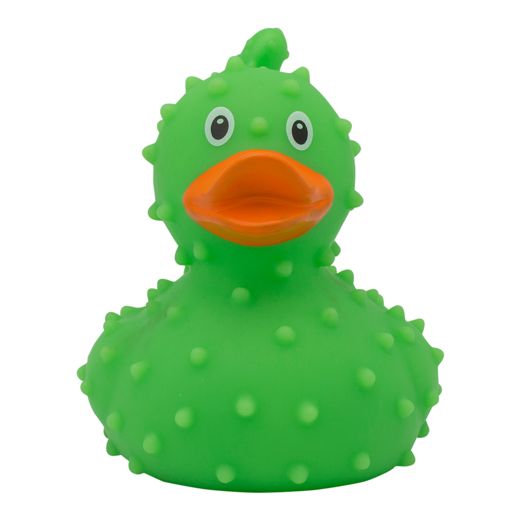 Canard Cactus