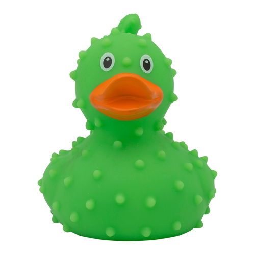 canard-cactus-lilalu