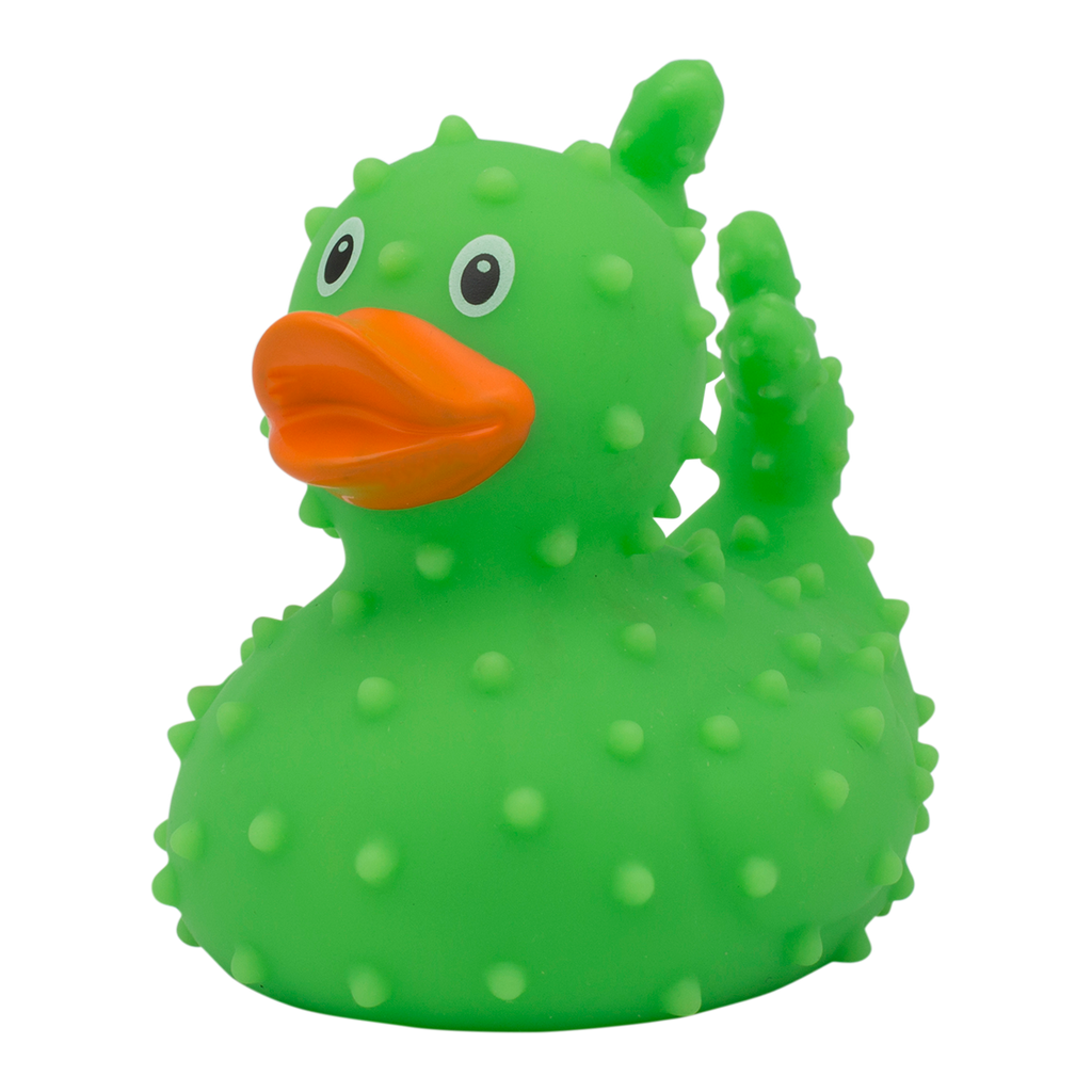 Canard Cactus