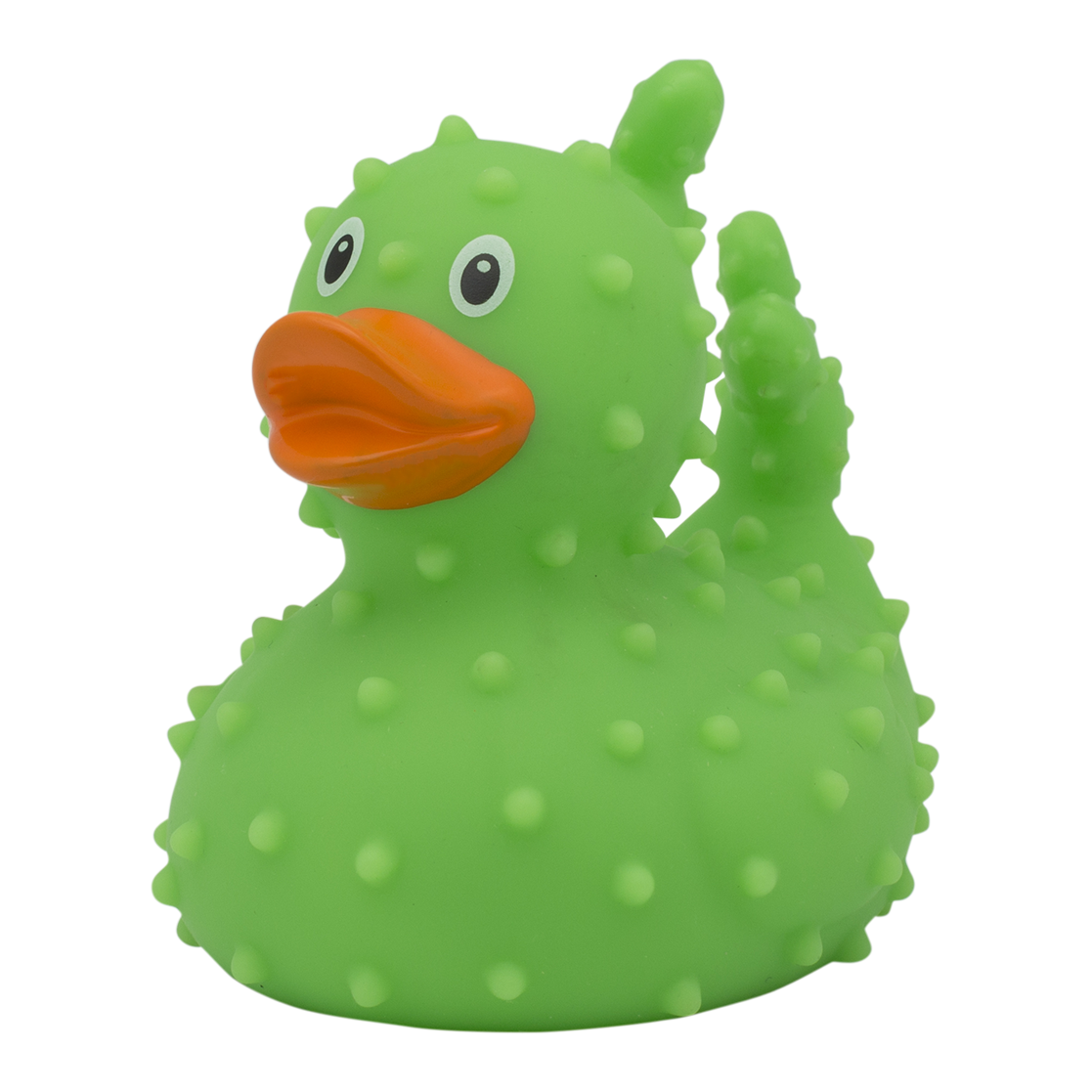 Canard Cactus