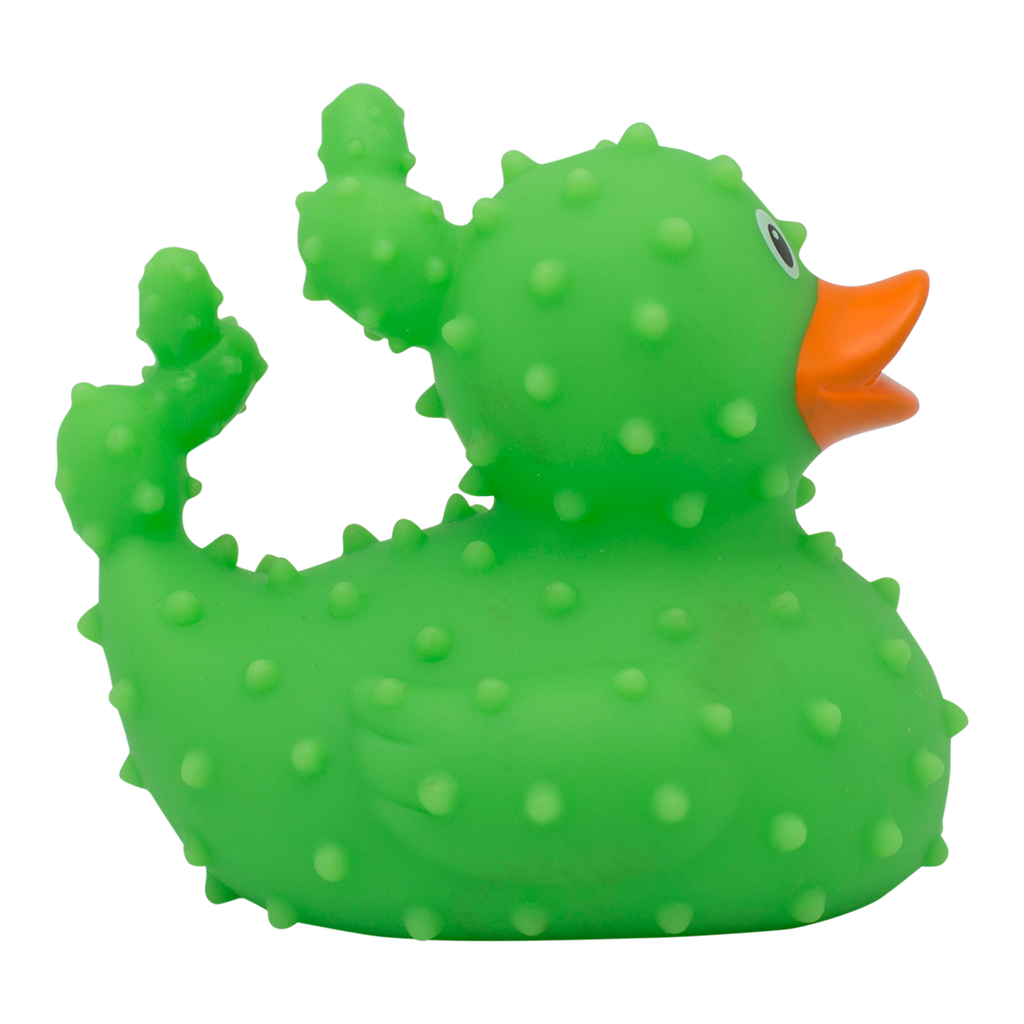 Canard Cactus