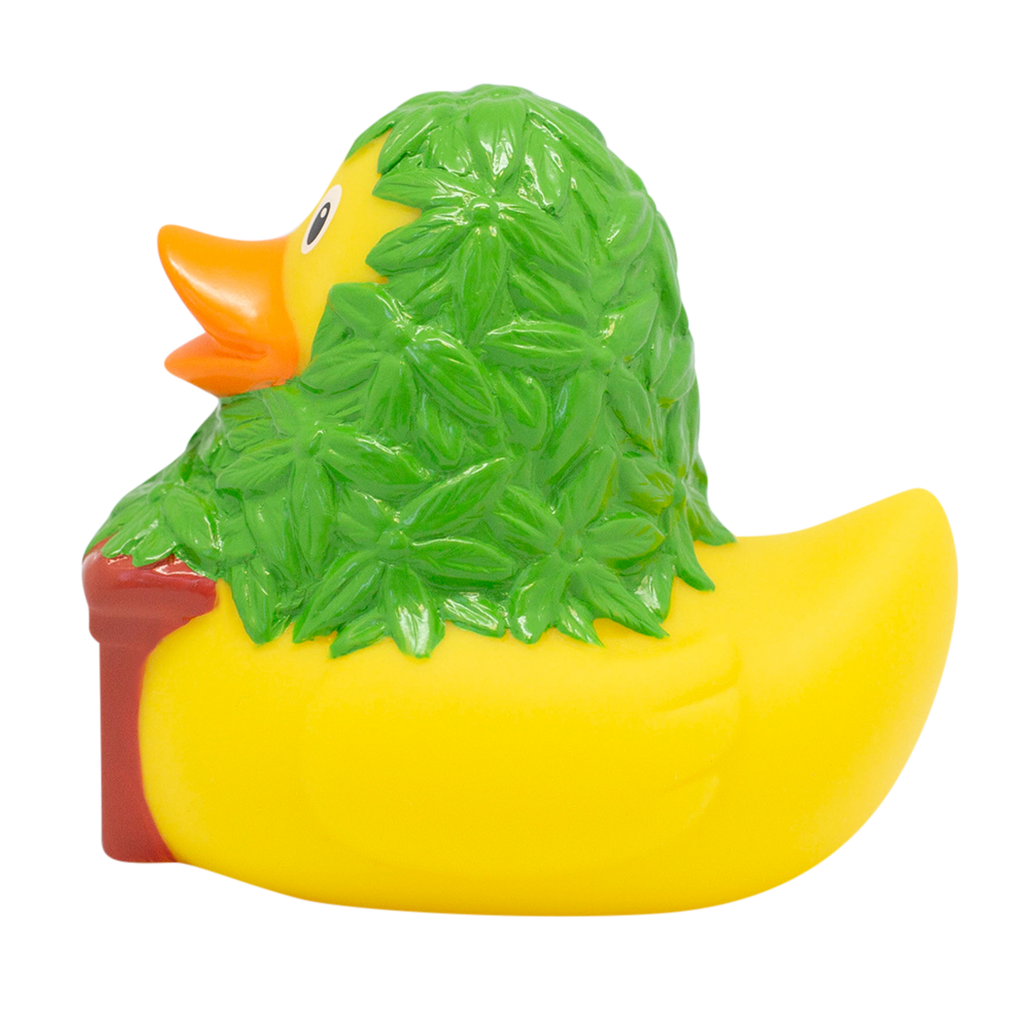 Canard Cannabis