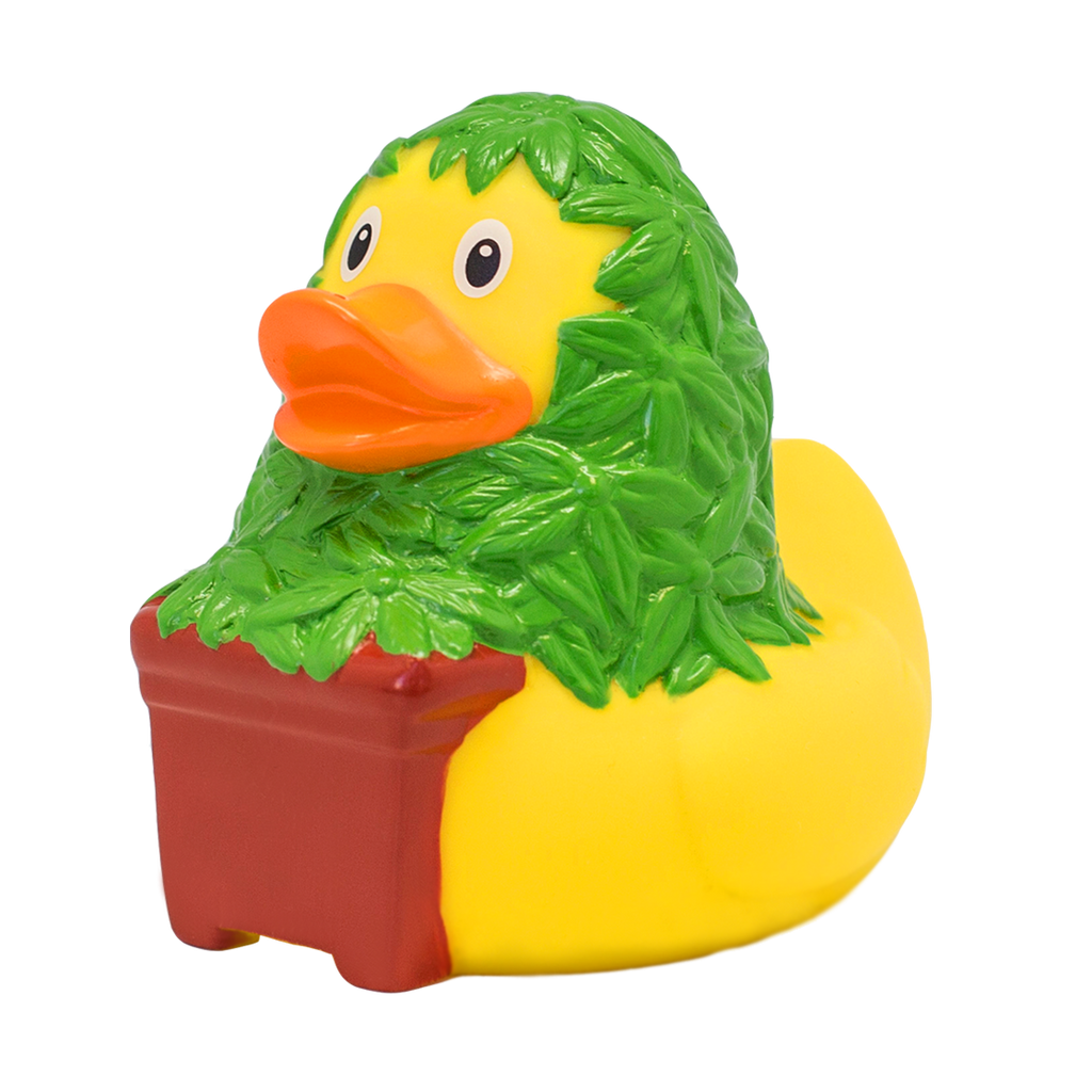 Canard Cannabis