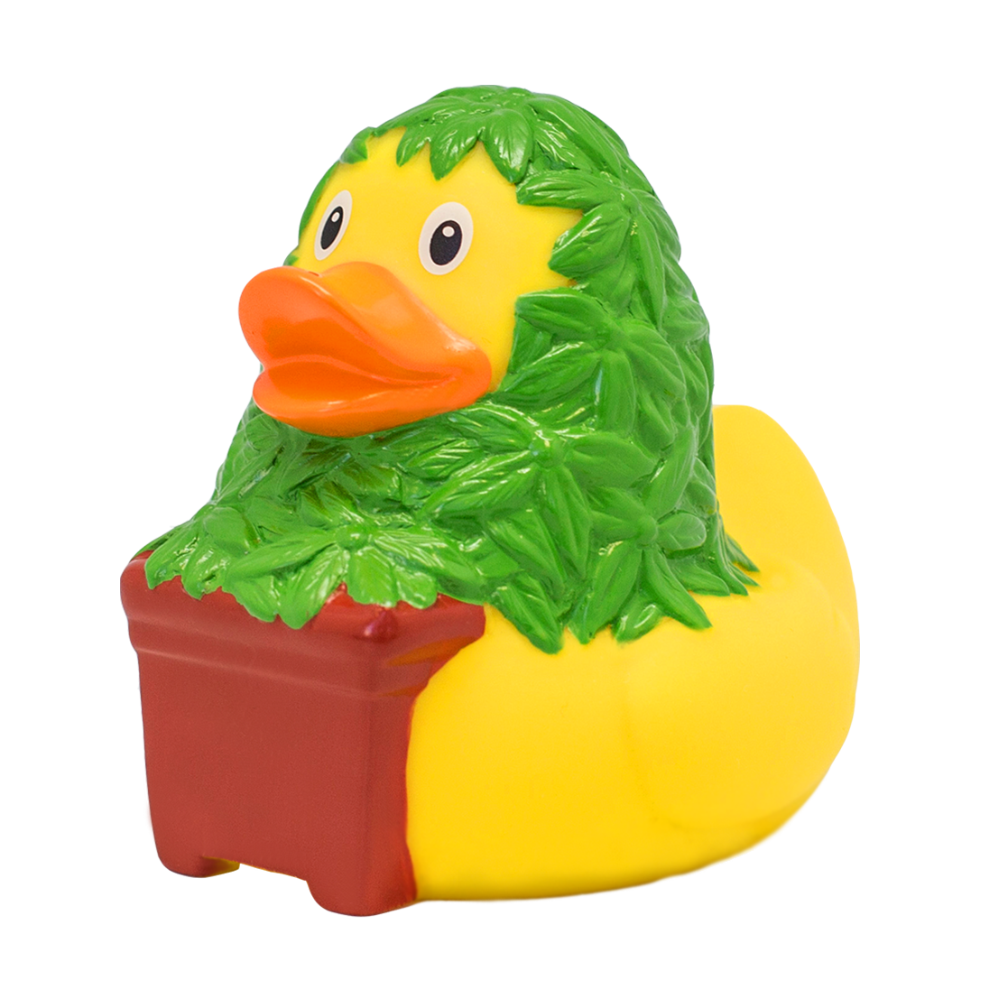 Cannabis Duck
