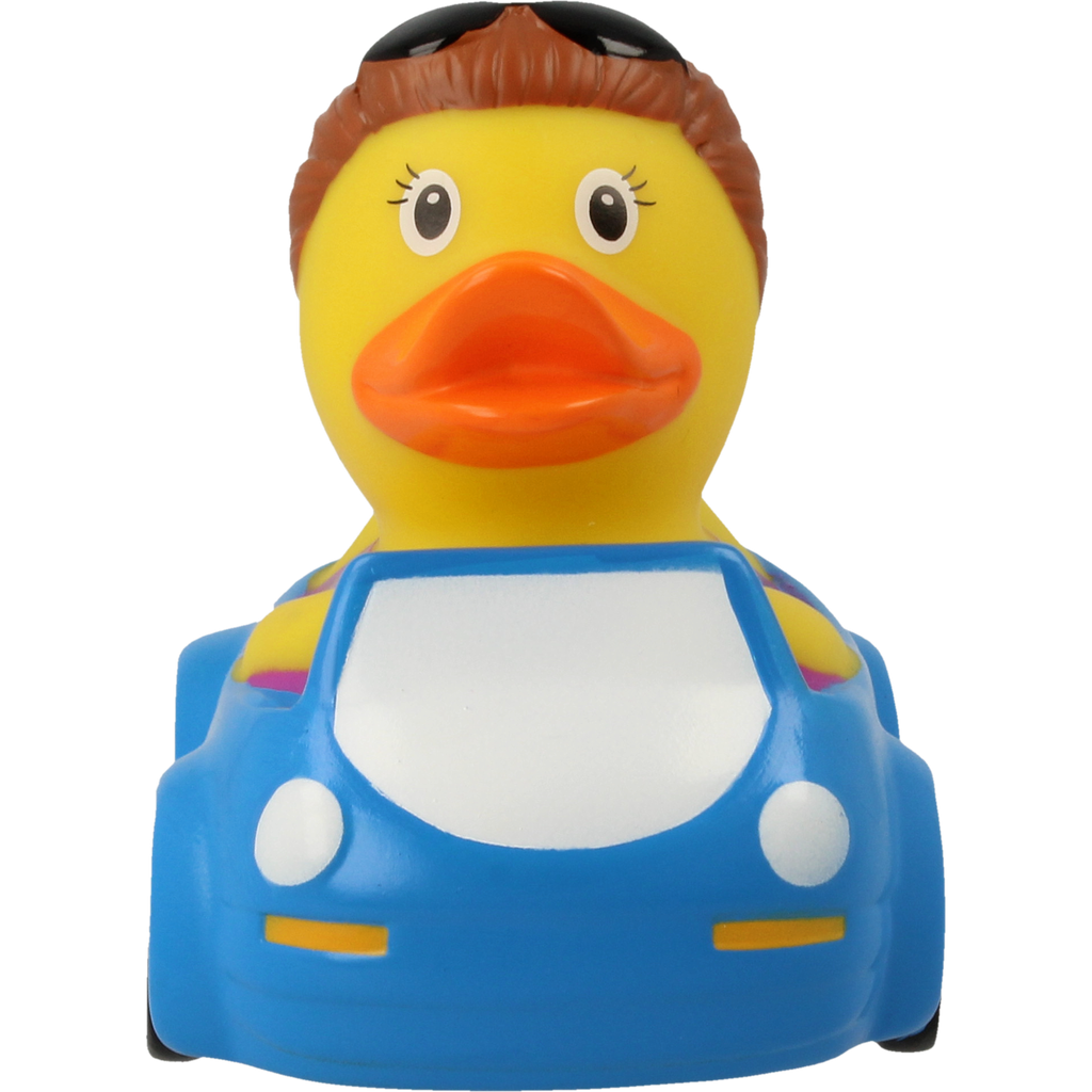 Duck Heater
