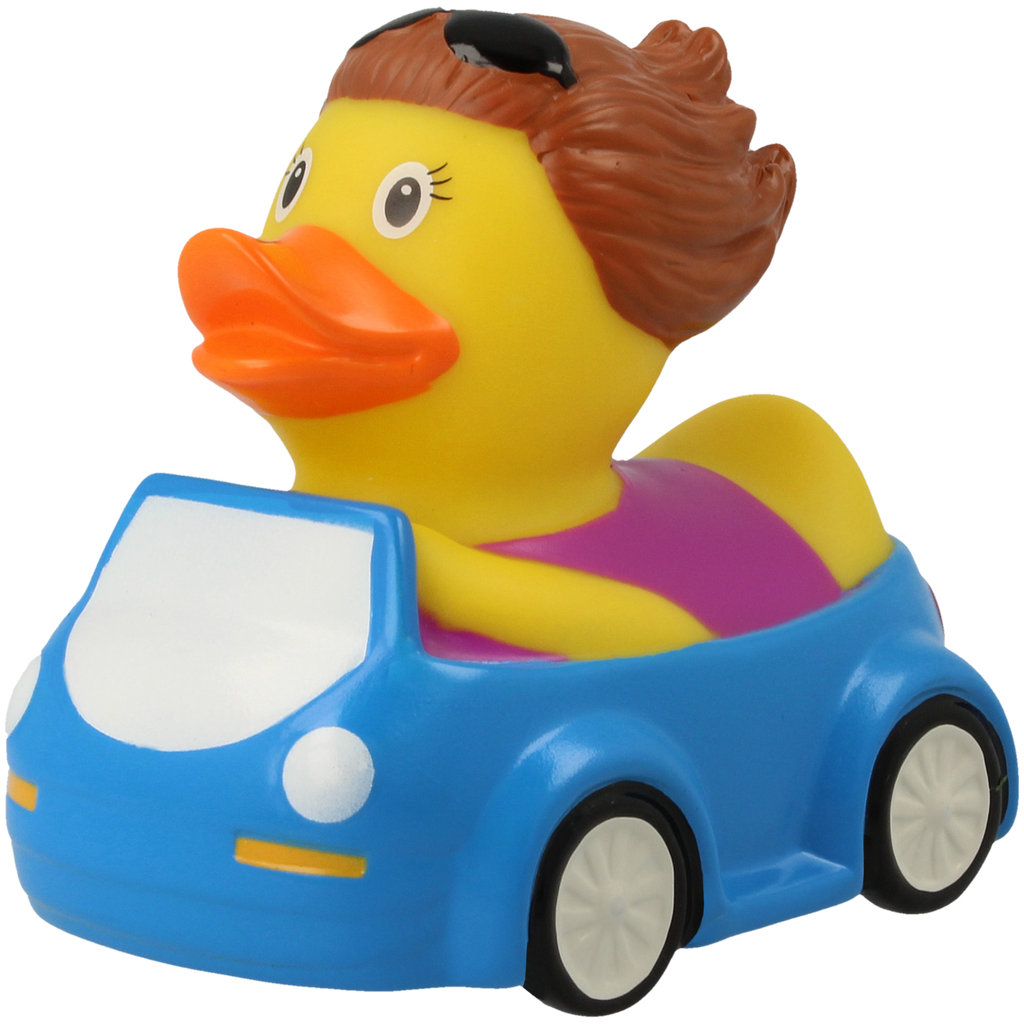 Duck Heater
