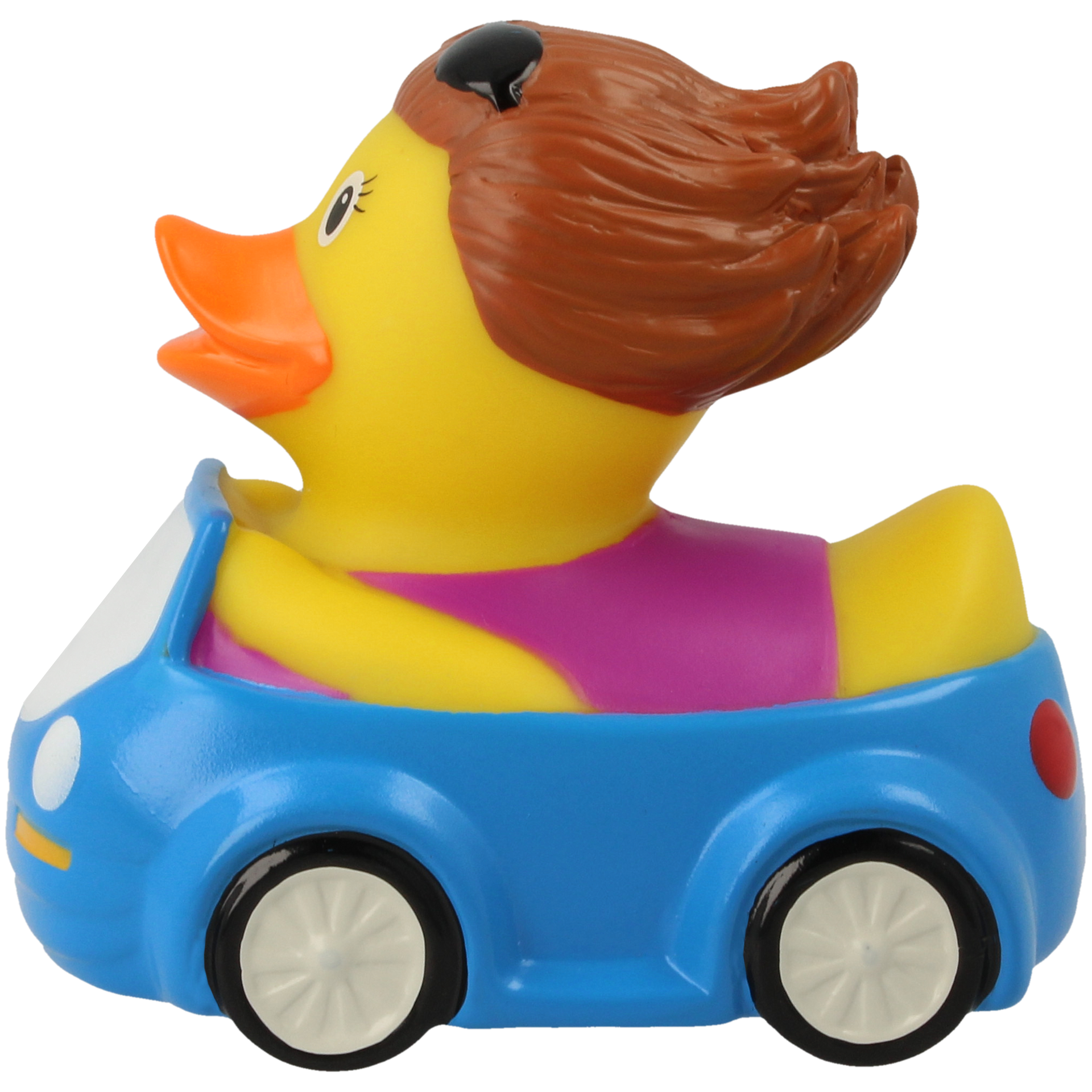 Duck Heater