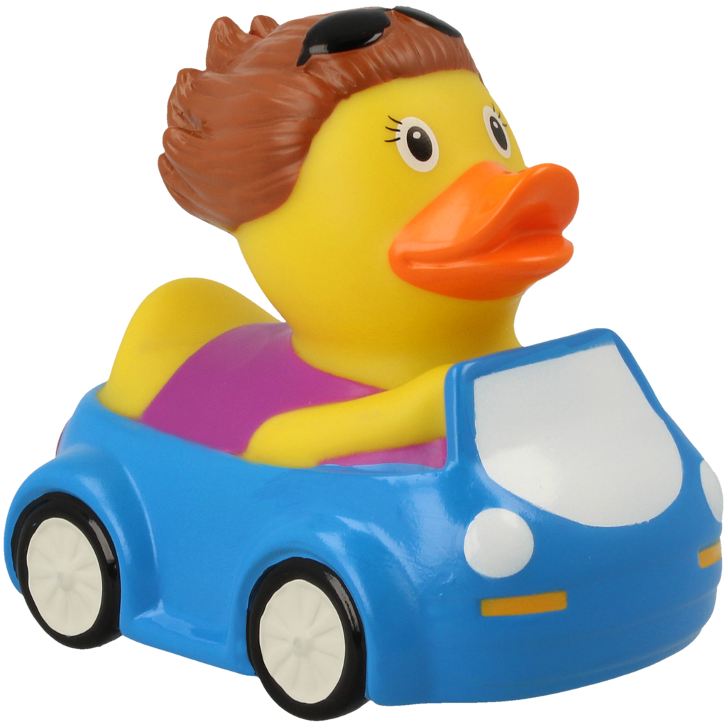 Duck Heater