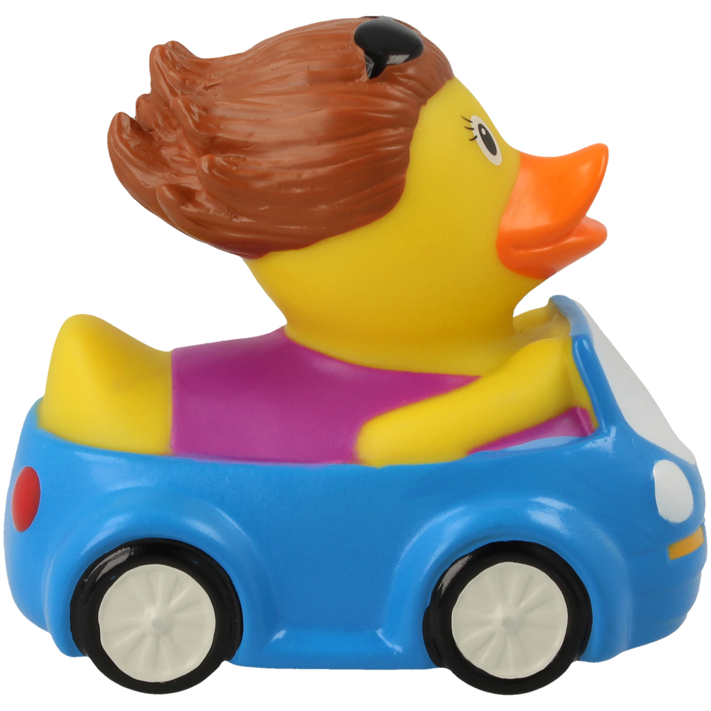 Duck Heater