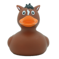 Horse Duck