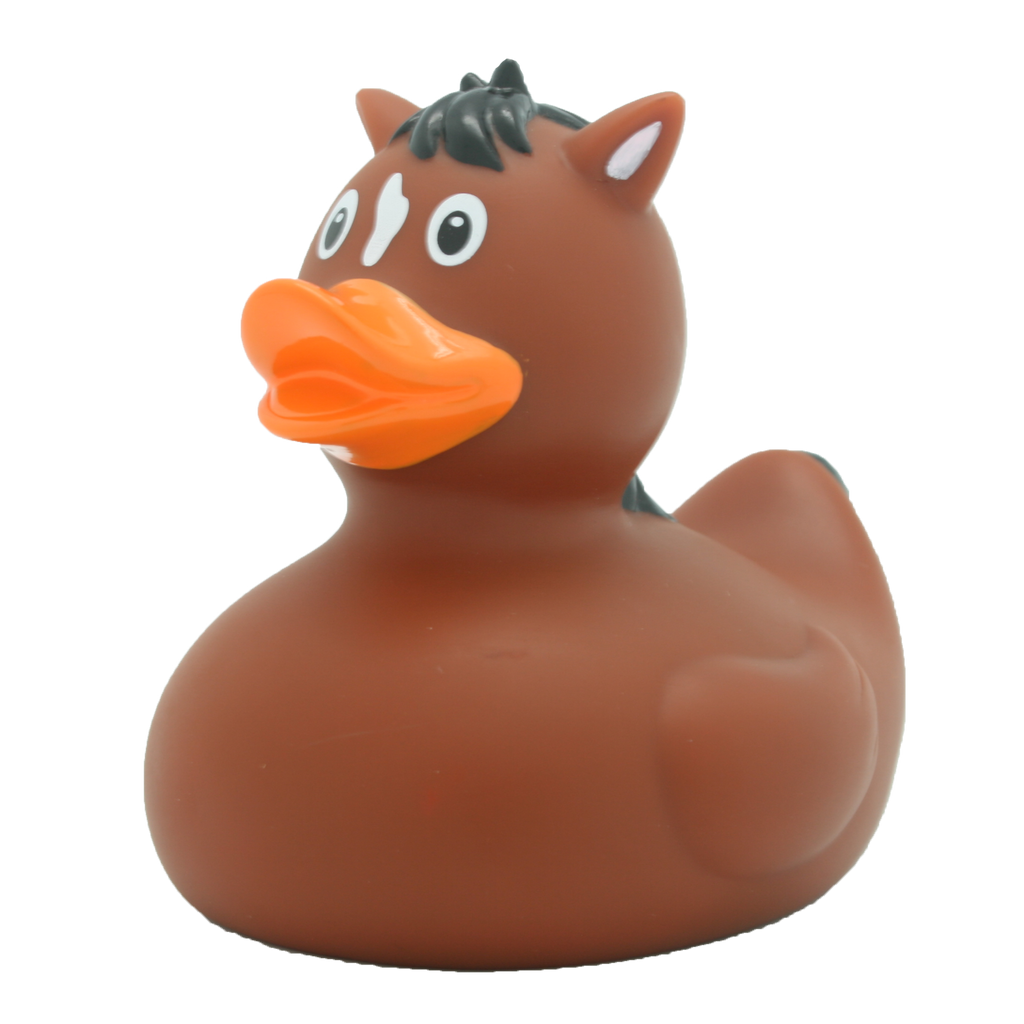Canard Cheval