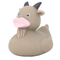 Duck Goat