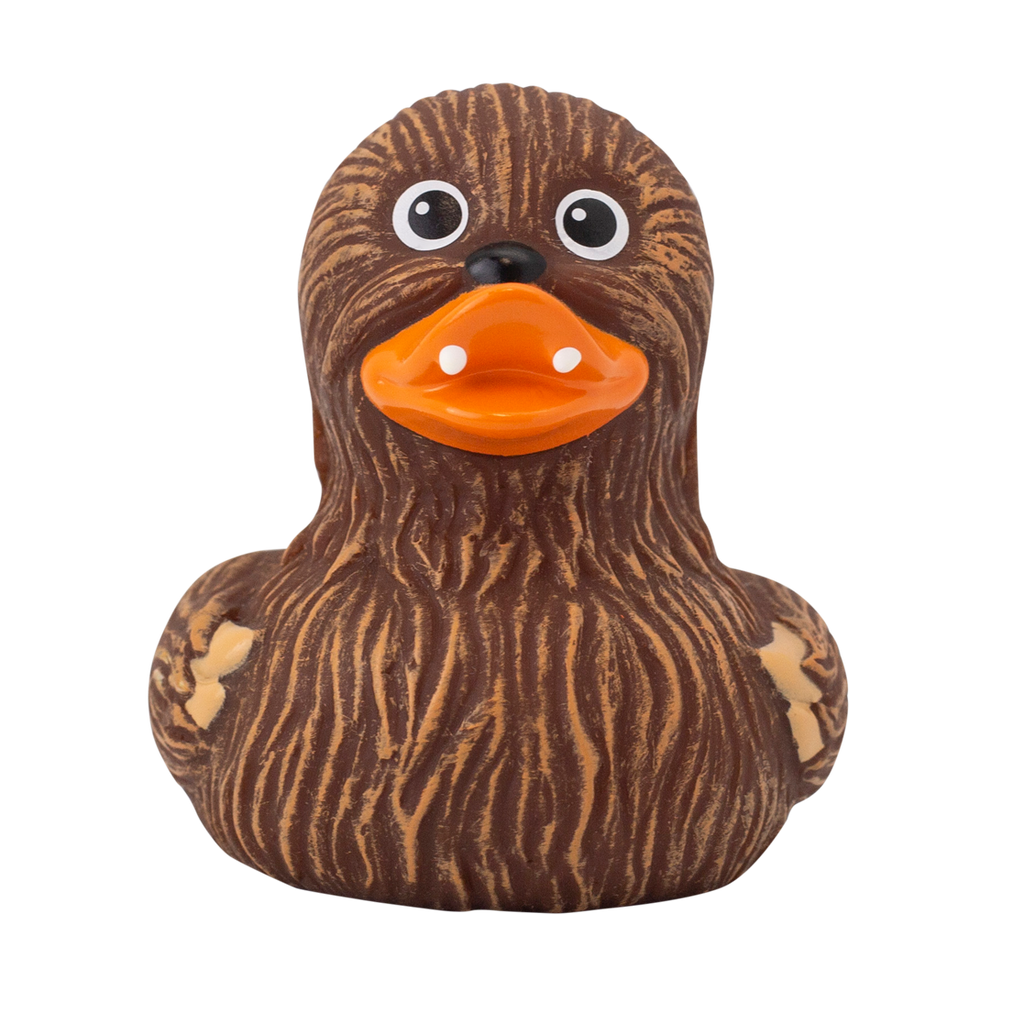 Canard Chewie